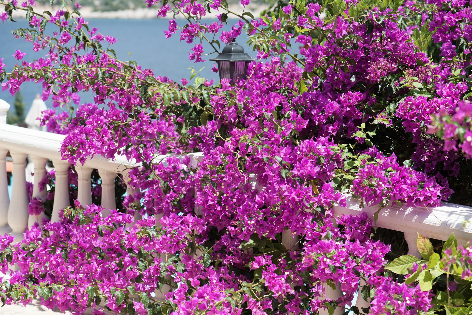 Club Hotel Barbarossa คาช ภายนอก รูปภาพ